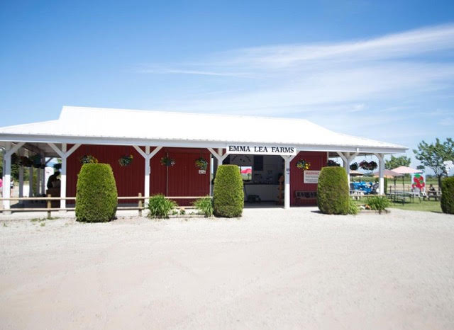 A view of Emma Lea Farms market.