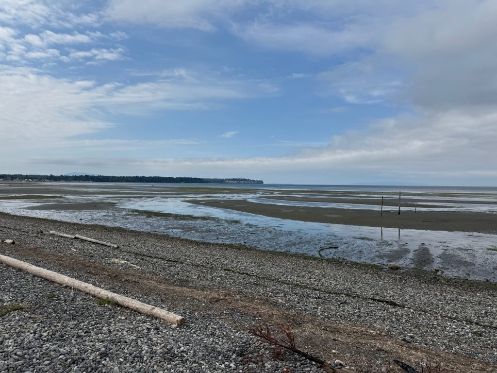 Beach and shoreline at Birch Bay County Park in Washington state